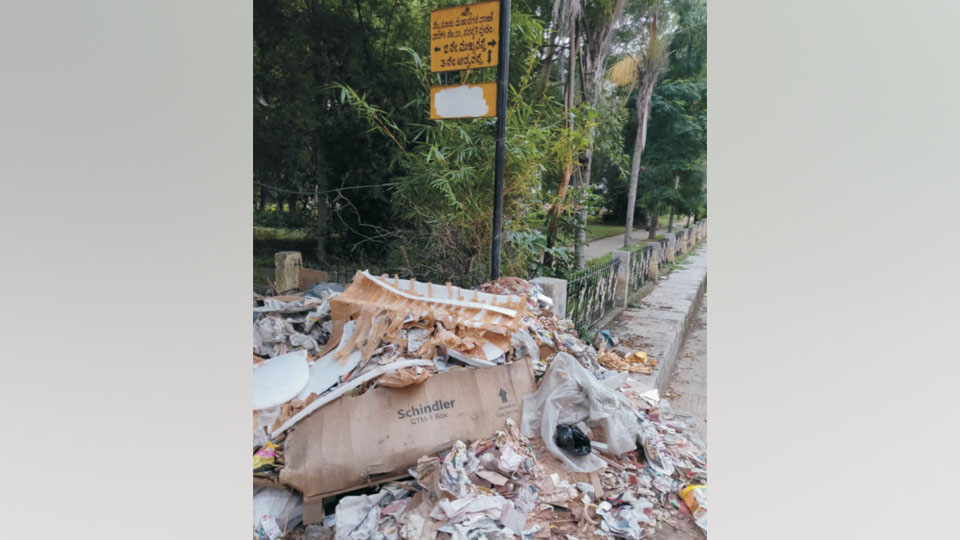 Irresponsible dumping of packing materials in Saraswathipuram