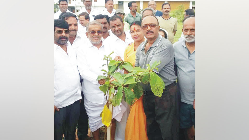 Minister launches tree planting drive at University Layout
