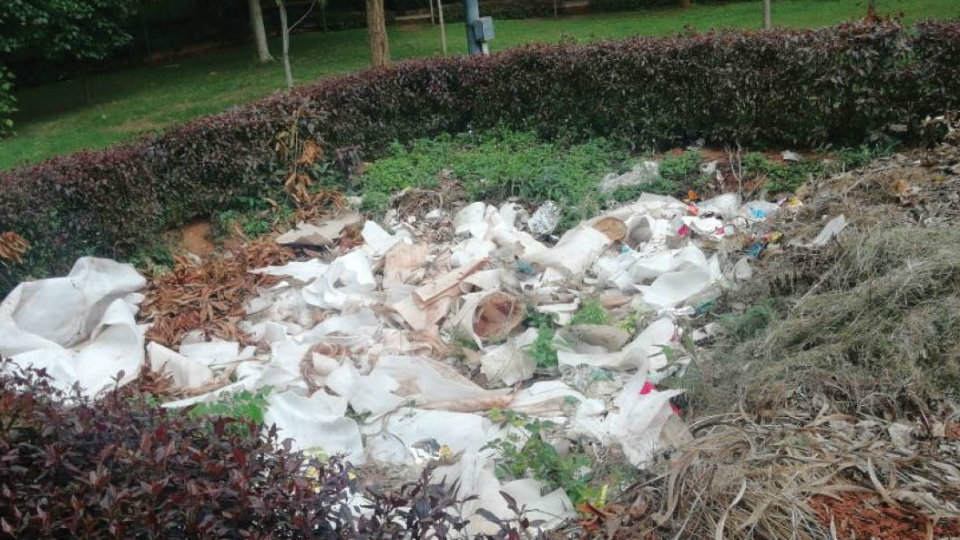 Plastic materials dumped at a park in Vijayanagar
