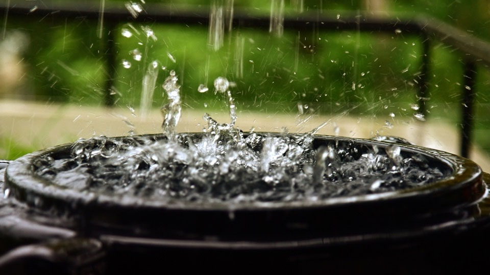 More on rainwater harvesting in city
