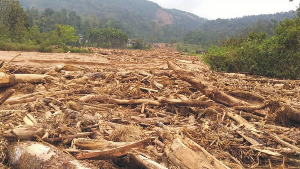 Thanthipala village resembles a timber yard after devastation