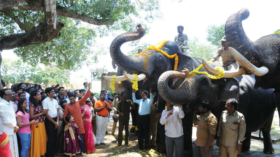 Special pujas to Dasara elephants at Palace on Ganesha Chaturthi