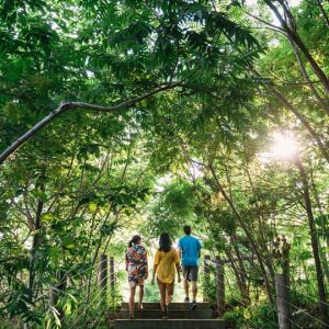 Science Sanje: Talk on ‘Nature Tales from Seasonal Bloomers’