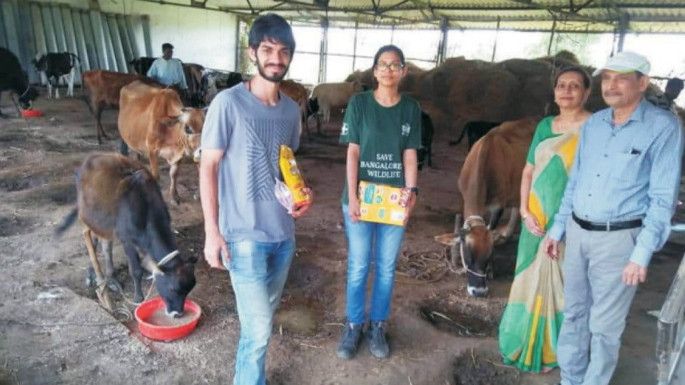 Volunteers lend a helping hand to displaced animals in Kodagu