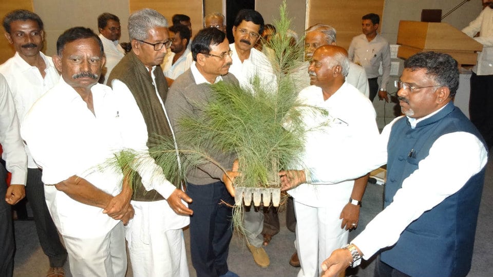 ‘Forest Horticulture is the best remedy to conserve environment’