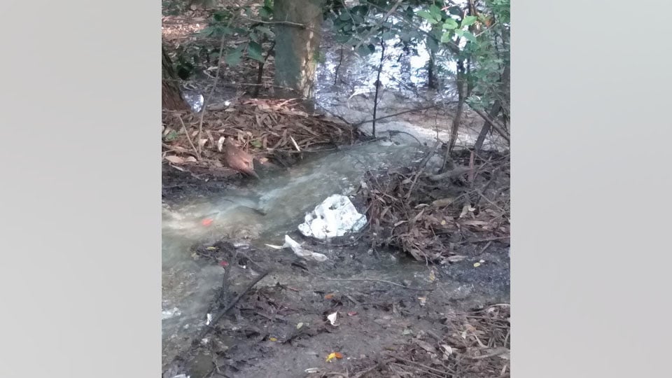 Sewage water contaminating Kukkarahalli Lake