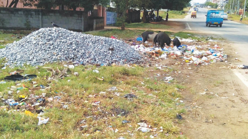 Plea to remove garbage dumped in Shakthinagar