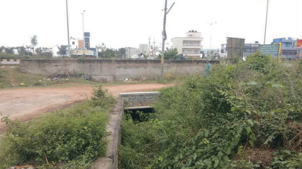 Plea to clear garbage and drains at Rajarajeshwari Nagar