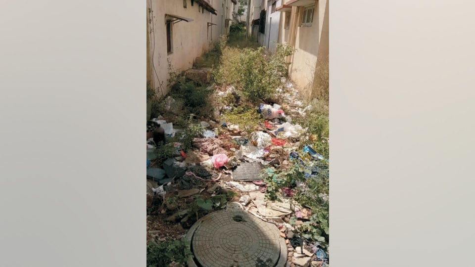 This Conservancy Lane near Agrahara needs attention