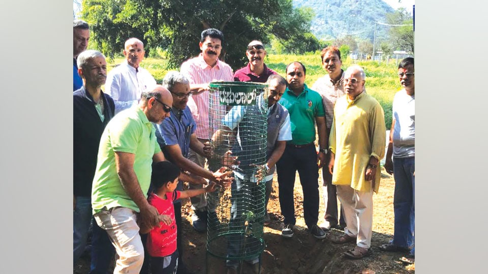 Rotary Mysore celebrates 75 years by planting saplings at Pinjarapole