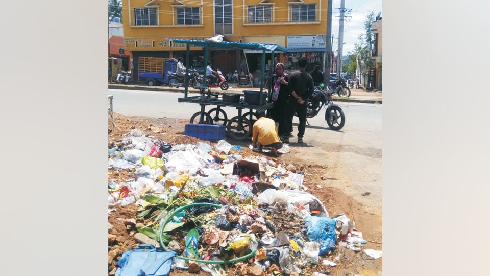 Plea to clear garbage on Mahadevapura Road