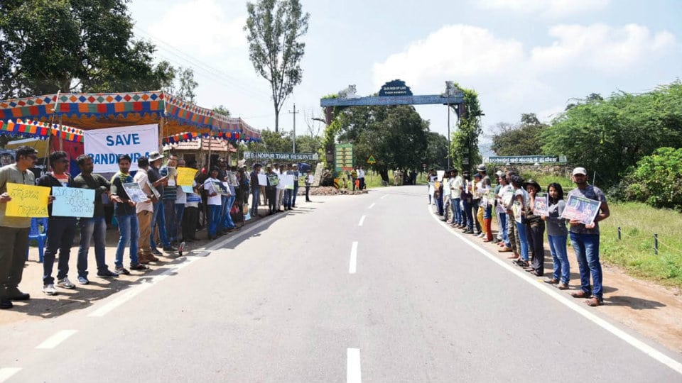 Proposal to construct elevated corridors at Bandipur: Nature lovers protest at Melukamanahalli arch