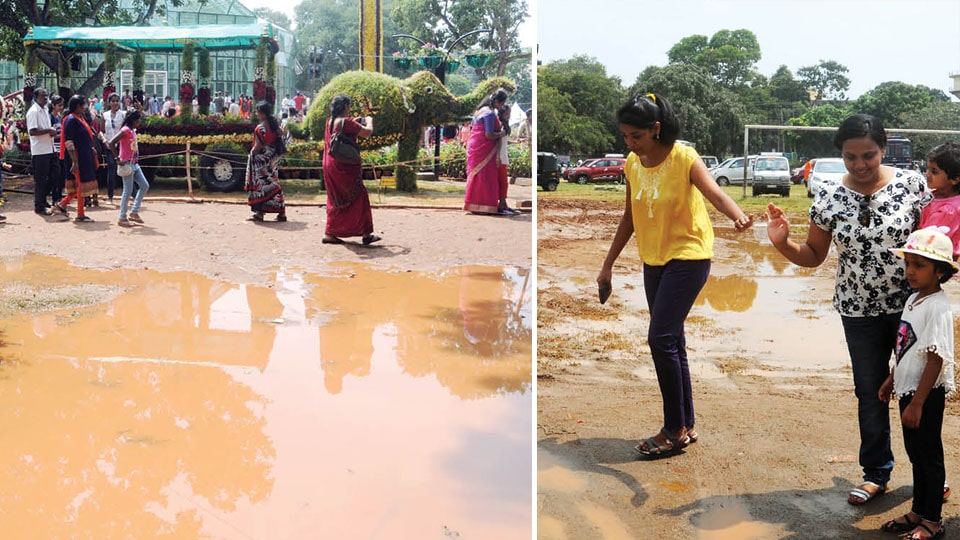 Rain plays spoilsport at Dasara venues