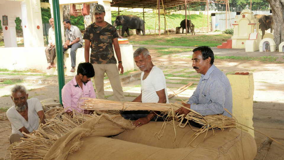 Gaadhi, Namdha preparations for Howdah-Elephant in full swing