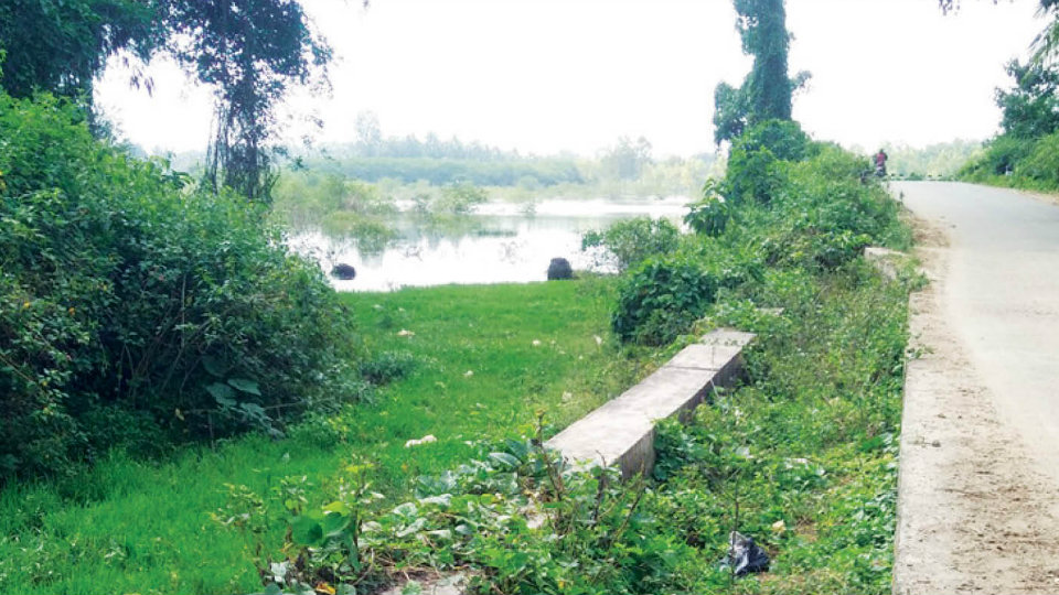 Villagers urge to plug water leakages and clear encroachments around Thathanahalli Lake