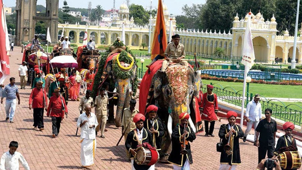 Three other Dasara elephants too leave for forest camp