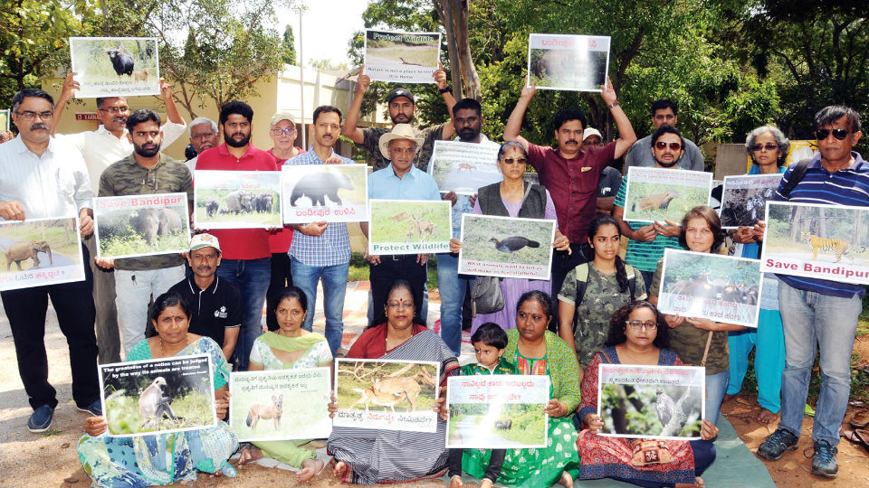 Elevated corridor over Bandipur: Greens stage protest