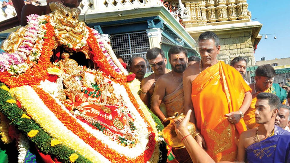 Saree offerings to Goddess by devotees: Earns Rs.1 crore revenue to Chamundi Hill Temple