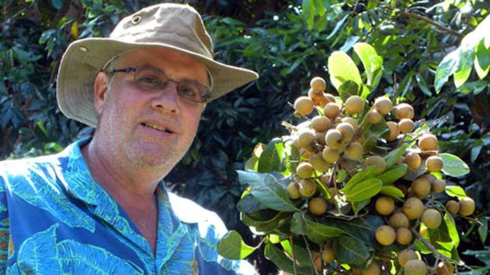 Interaction with Hawaii’s ‘Fruit King’ Ken Love in city tomorrow