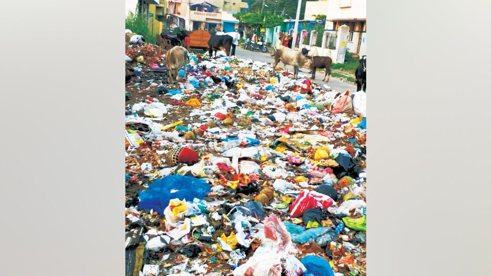 Plea to clear garbage in Bada Makan