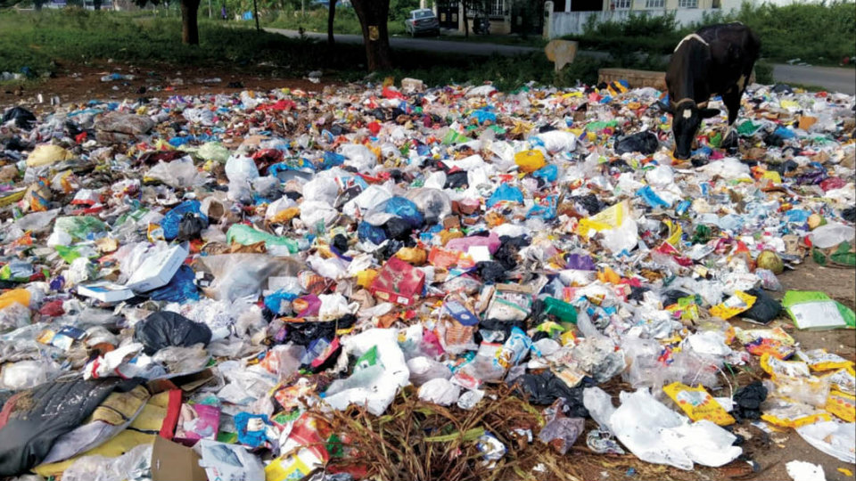 Plea to clear garbage in Vijayanagar