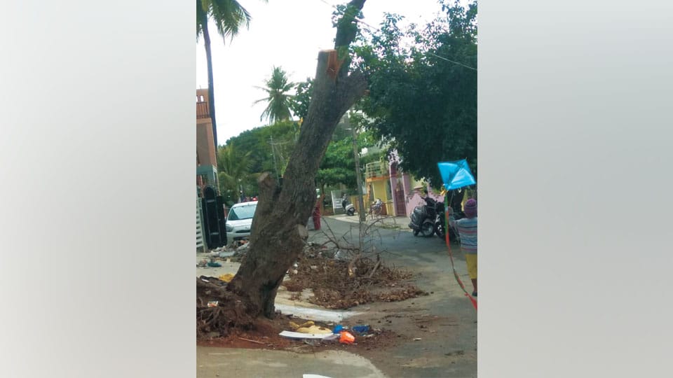 Remove this dead tree at Siddarthanagar