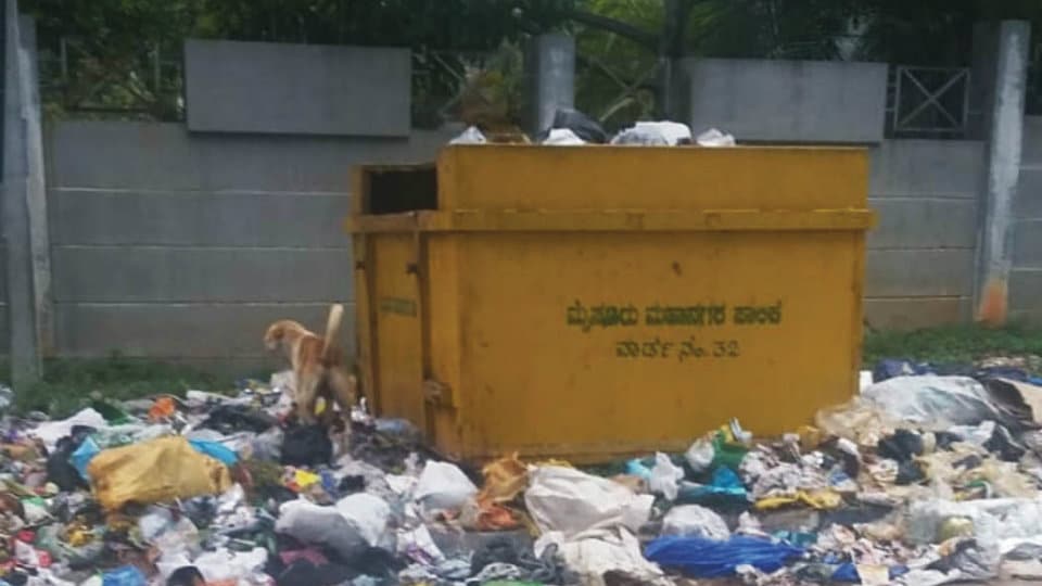 Overflowing garbage bin needs to be cleared at Vontikoppal