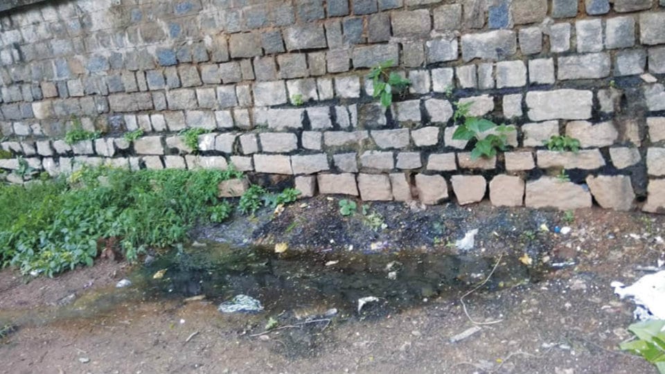 Plea to repair damaged sewage pipeline at Yadavagiri
