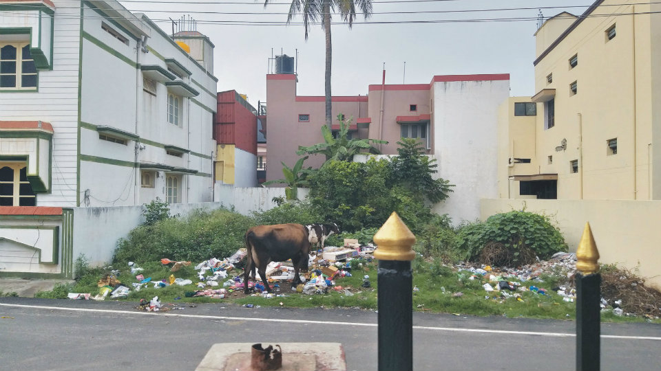 Garbage on vacant sites irks residents of Subashnagar