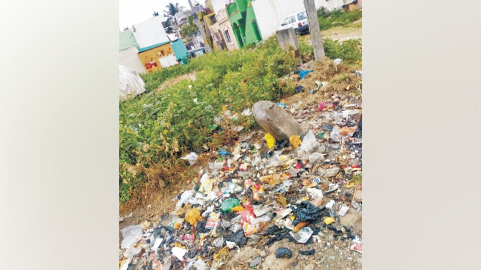 Garbage dumped at Rajivnagar needs to be cleared