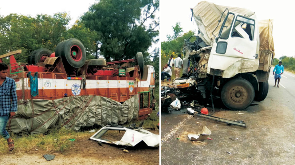 Two trucks collide head-on; one injured