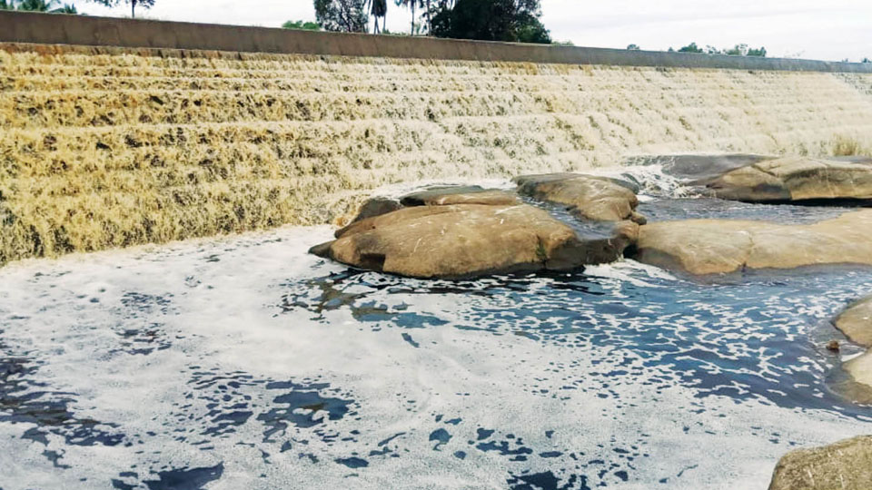 Blast Echo: Sugar Factory Boiler water pollutes Shimsha River