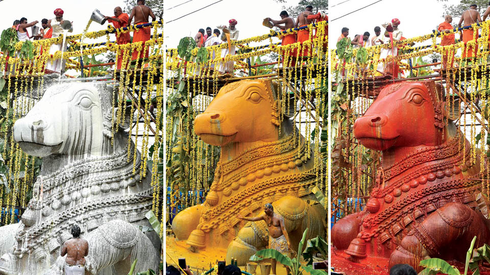 Mahabhishekha performed to iconic Nandi statue