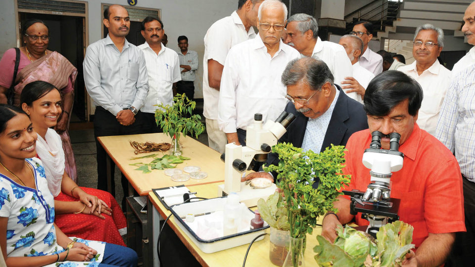 ‘Set up more number of plant clinics to help farmers’