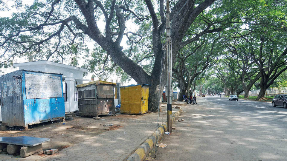 Install jersey barriers on Valmiki Road from Maharani’s College to Marigudi Junction