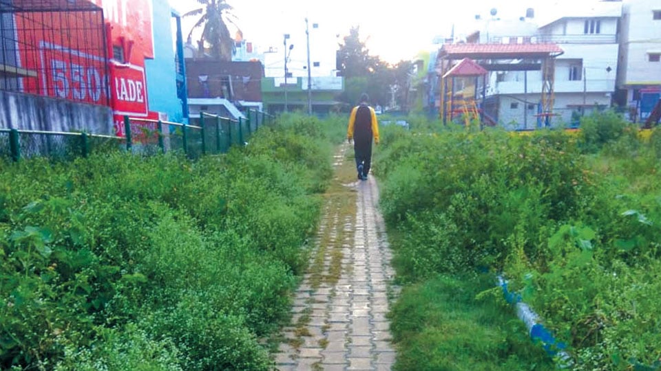 Plea to clear weeds from park in Kuvempunagar