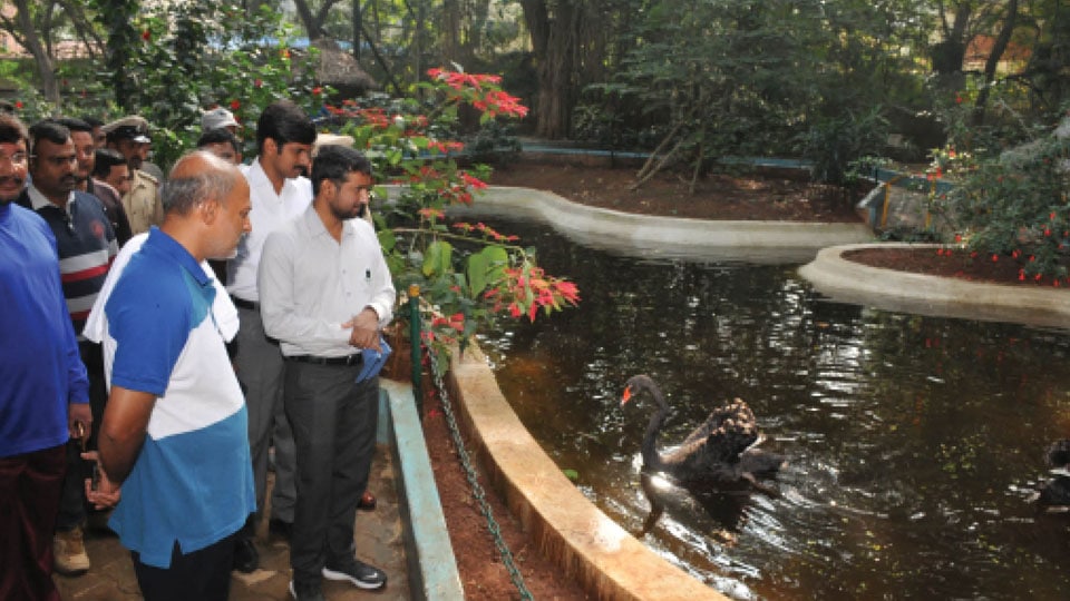 Butterfly Park at Karanji Lake to open soon