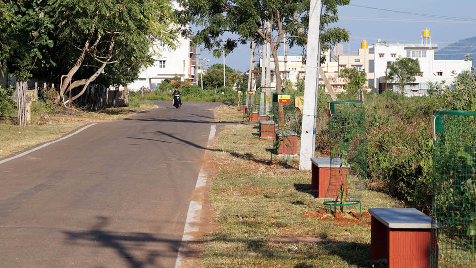 Dattagalli residents beautify Road