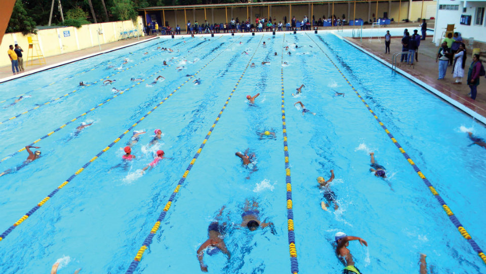 Swimming  Contest