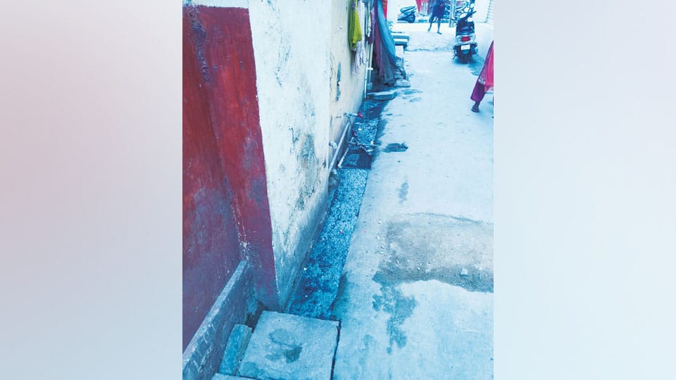 Clogged drains causing problems near Urdu School in Ward 29