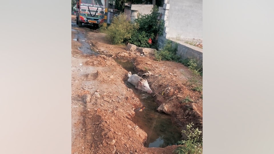 Gallons of drinking water going down the drain in Bannimantap