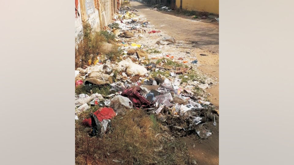 Plea to clear garbage near Mysore Paints