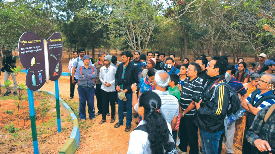 ‘Lingambudhi Lake Watch’ evokes good response