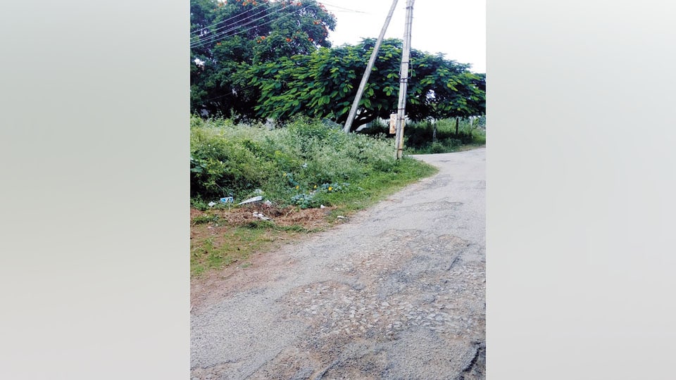Bad condition of roads in Vijayanagar area
