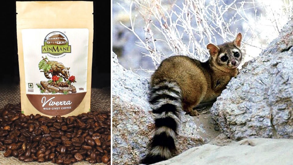 Most Expensive Coffee In The World Cat Poop At Wilda Talley Blog Most Expensive Coffee In The World Cat Poop At Wilda Talley Blog
