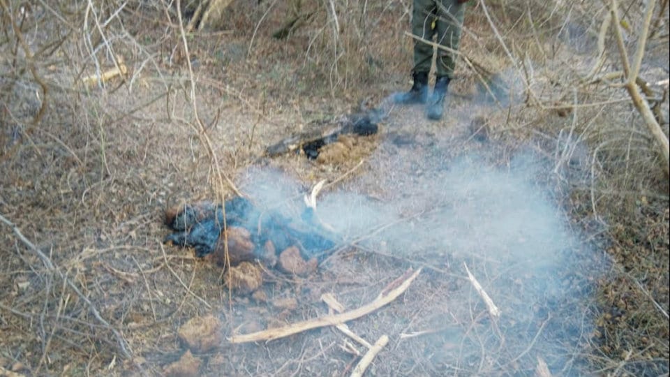 Miscreants used a pile of elephant dung to ignite fire