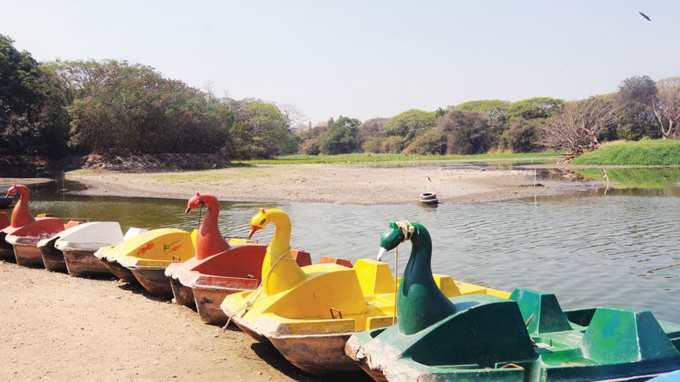 Karanji Lake boating stopped: Water level depleting before summer