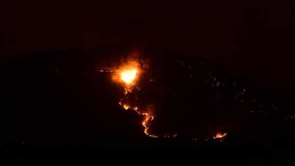 Fire continues to rage Bandipur Forest range - Star of Mysore