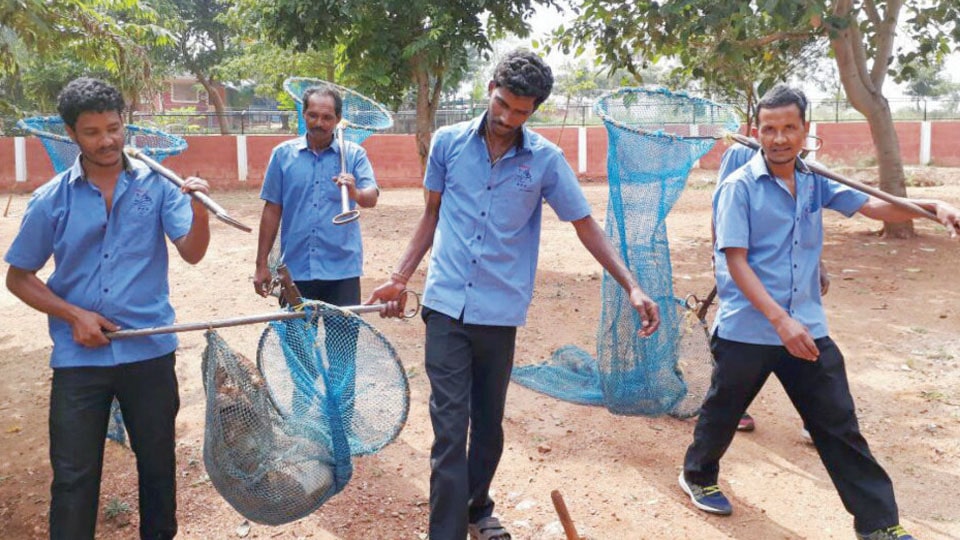 Corporators smell a rat over stray dog control