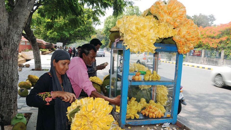 Court orders stay on eviction of roadside vendors by MCC